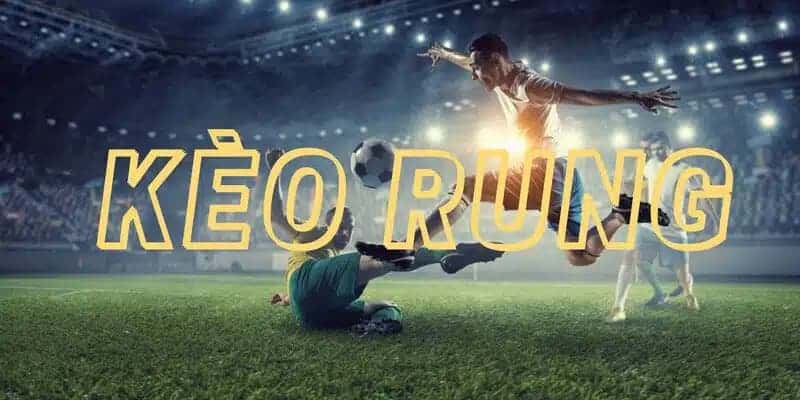 Kinh nghiệm chơi kèo rung là gì hiệu quả cho tân thủ