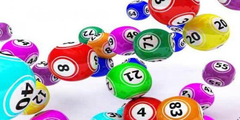 Xem xét loại hình cá cược để chọn hình thức chơi 